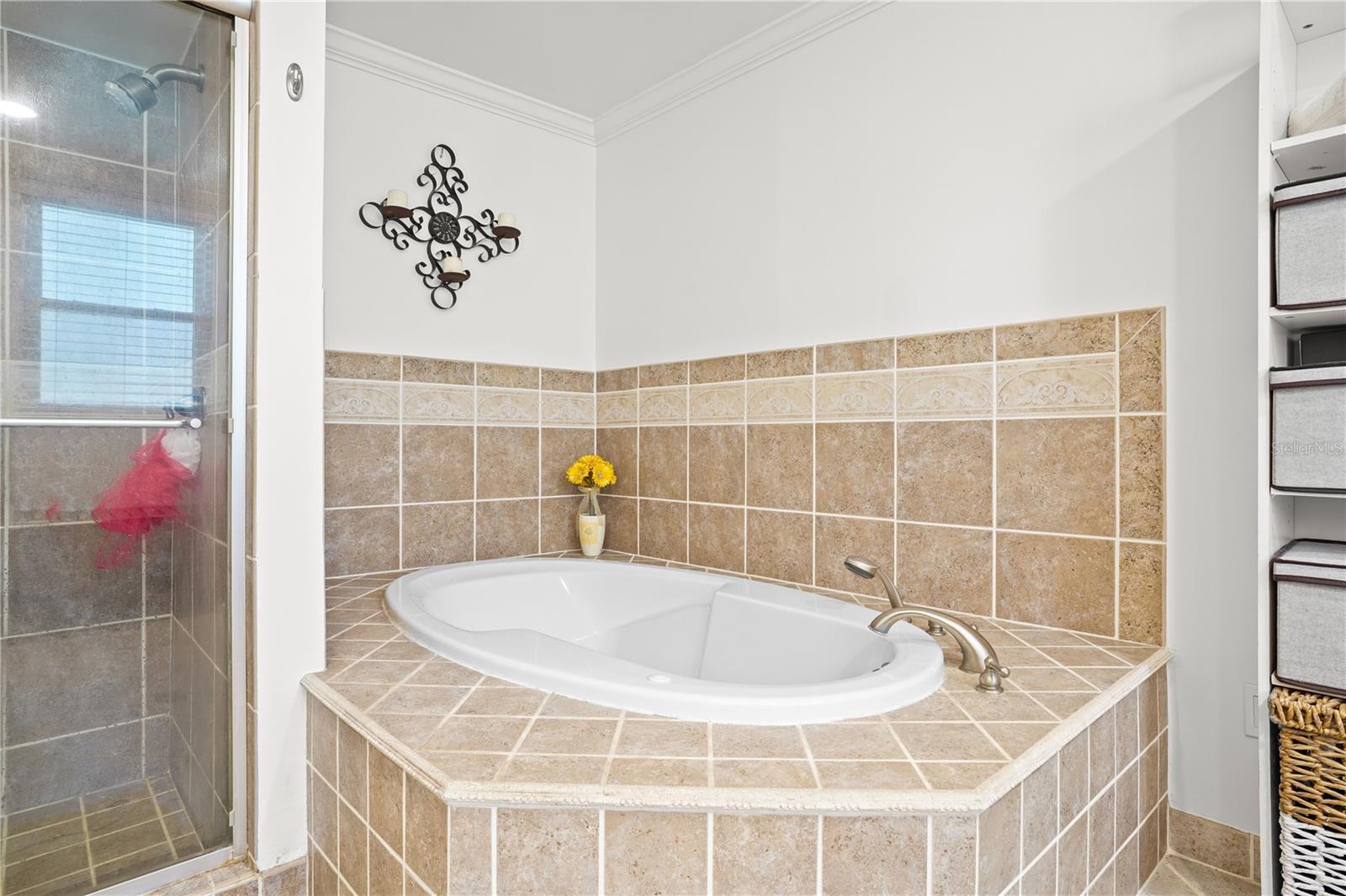 Image 31 of 57 For 214 Thistlewood Circle