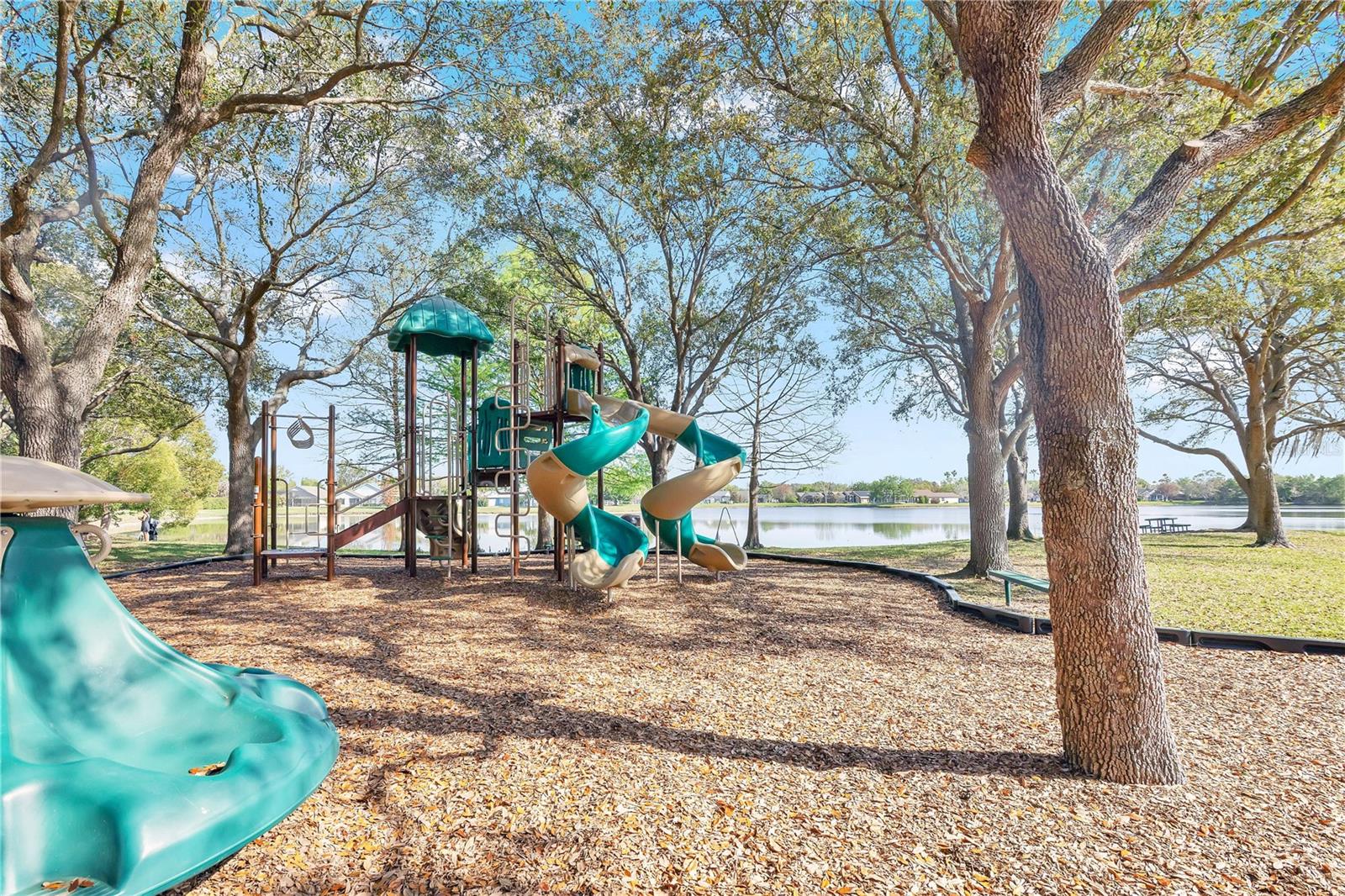 Image 32 of 36 For 357 Kirkhill Street