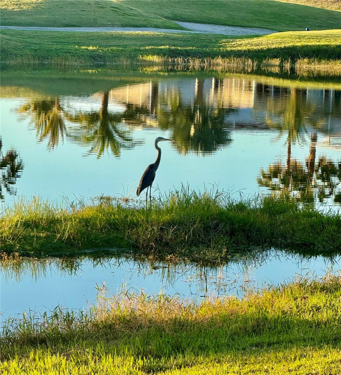 Image 48 of 61 For 627 Arnold Palmer Drive