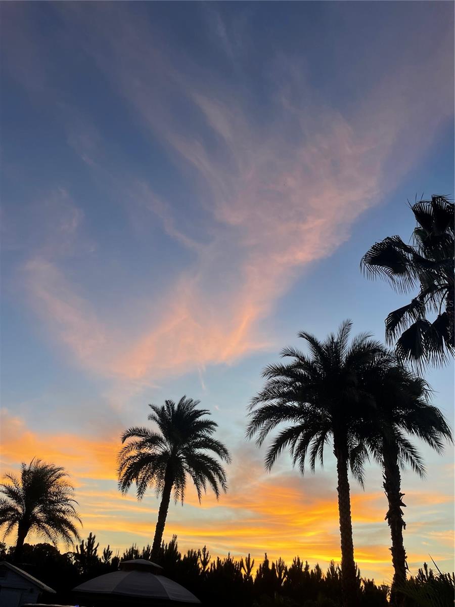 Image 49 of 61 For 627 Arnold Palmer Drive