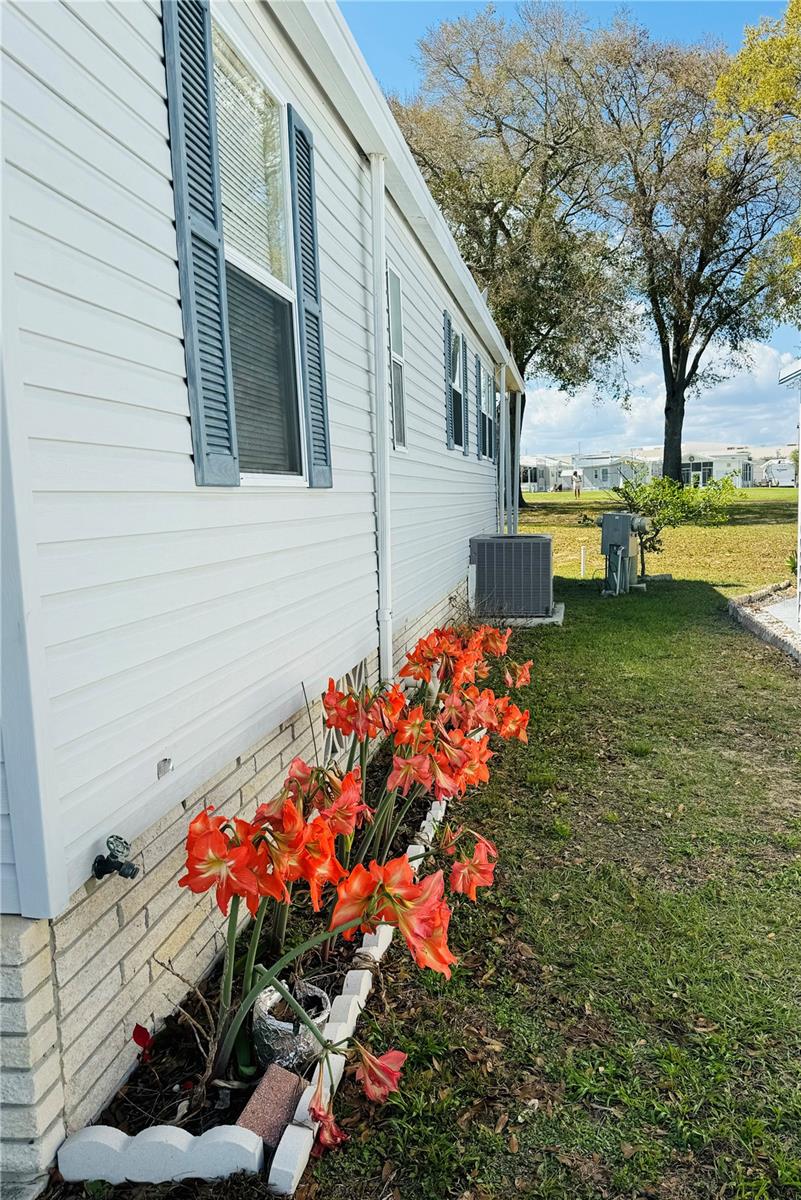 Image 8 of 61 For 627 Arnold Palmer Drive