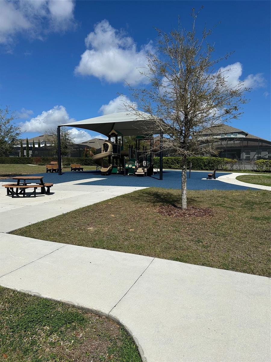 Image 50 of 51 For 5679 Orange Orchard Drive