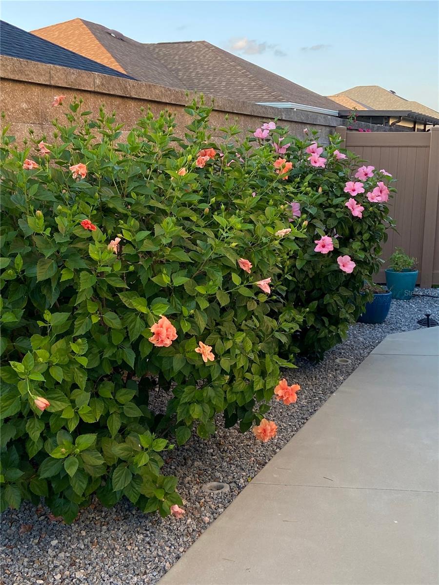 Image 4 of 21 For 5840 Unger Court