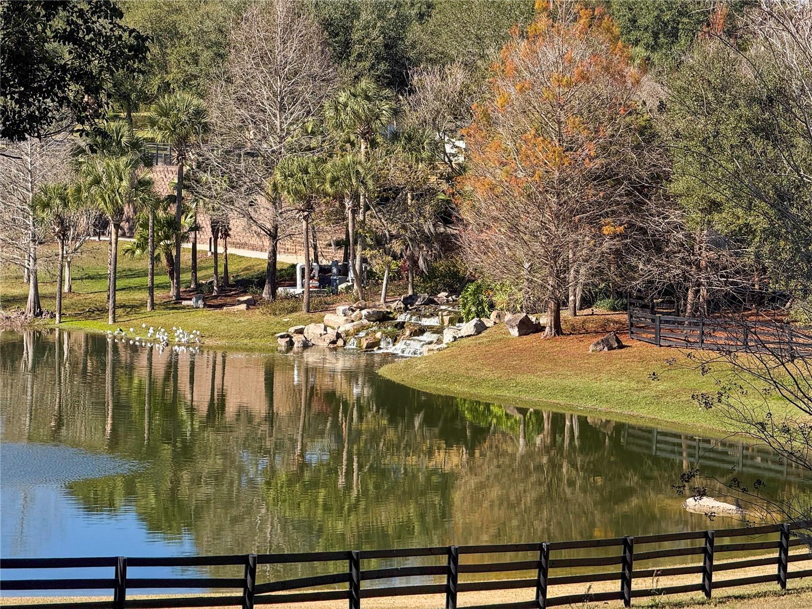 Image 23 of 49 For Address Not Provided