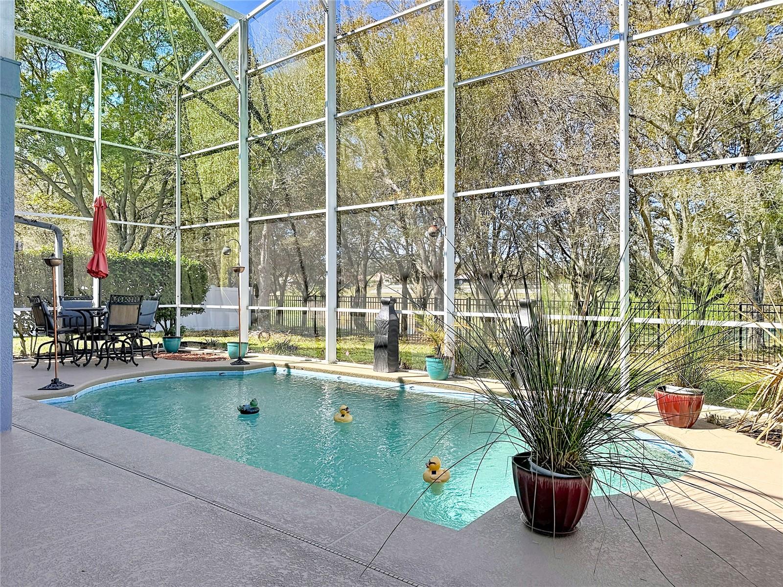 Image 28 of 63 For 2048 Applegate Drive