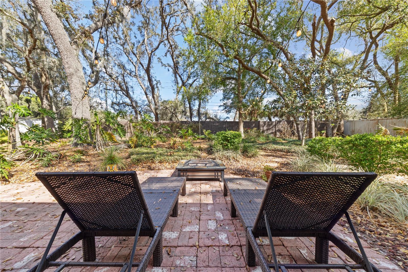 Image 35 of 42 For 529 Burnt Tree