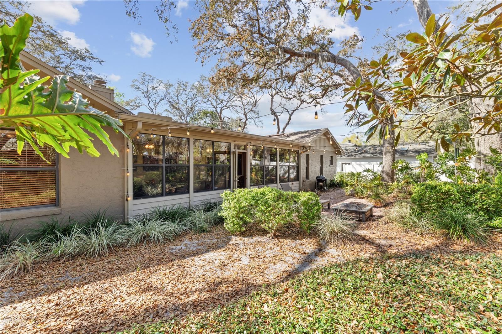 Image 36 of 42 For 529 Burnt Tree