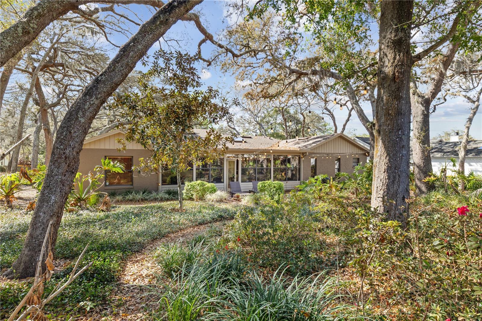 Image 37 of 42 For 529 Burnt Tree