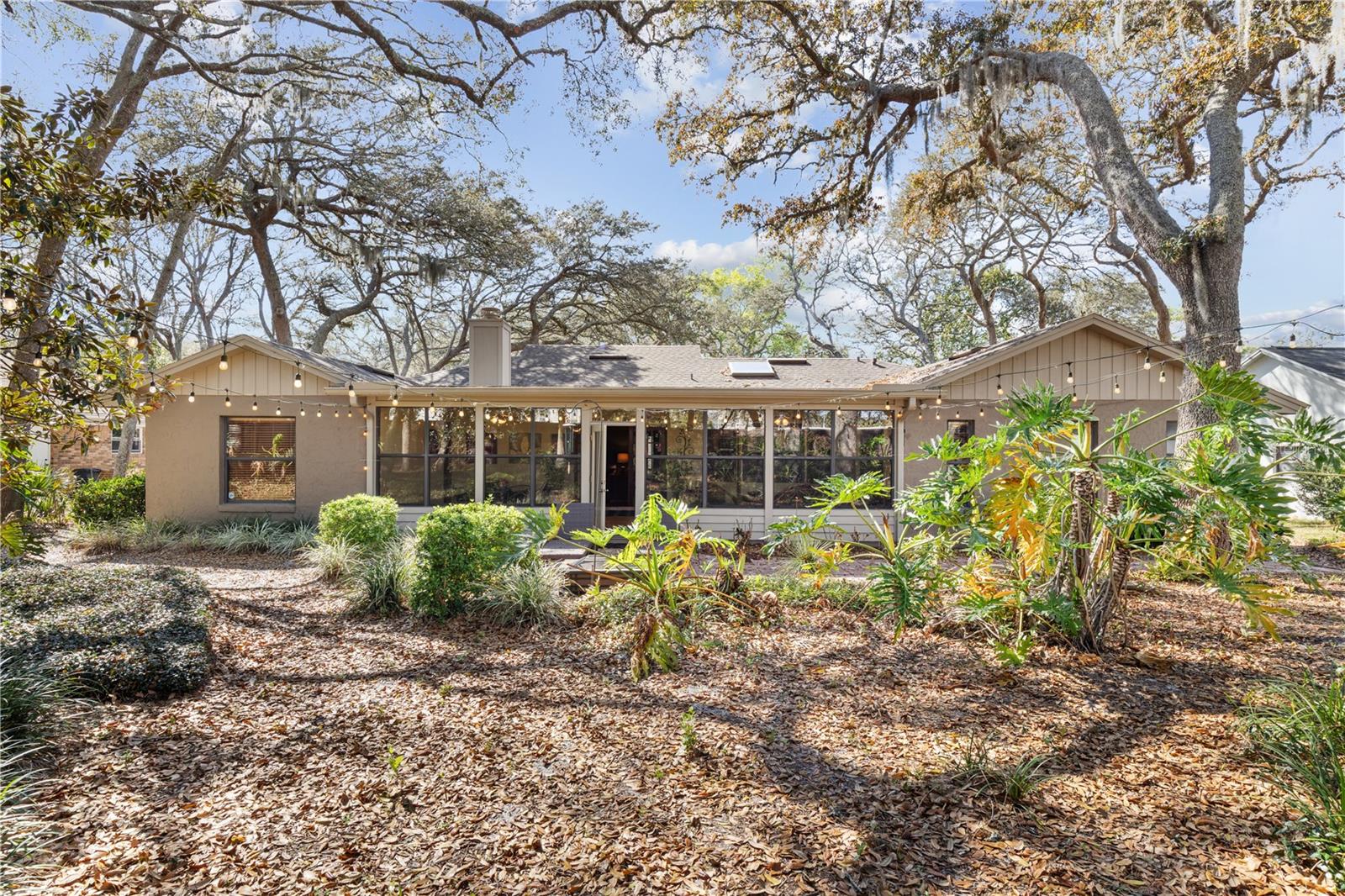 Image 38 of 42 For 529 Burnt Tree