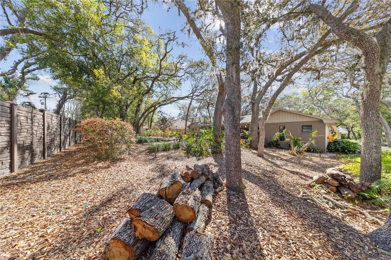 Image 39 of 42 For 529 Burnt Tree