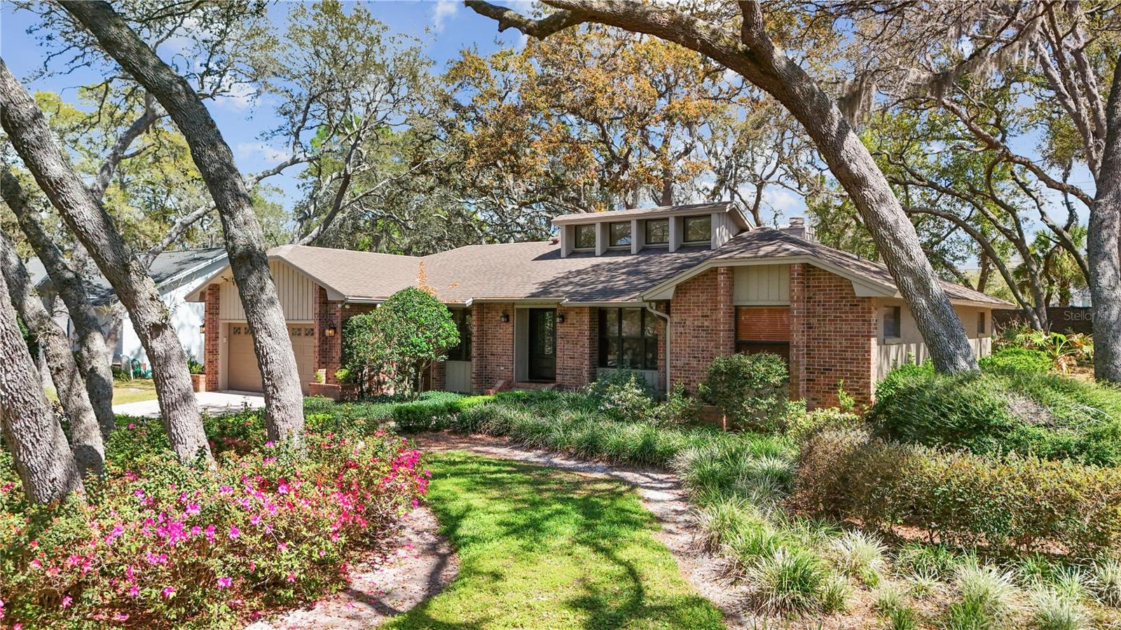 Image 41 of 42 For 529 Burnt Tree