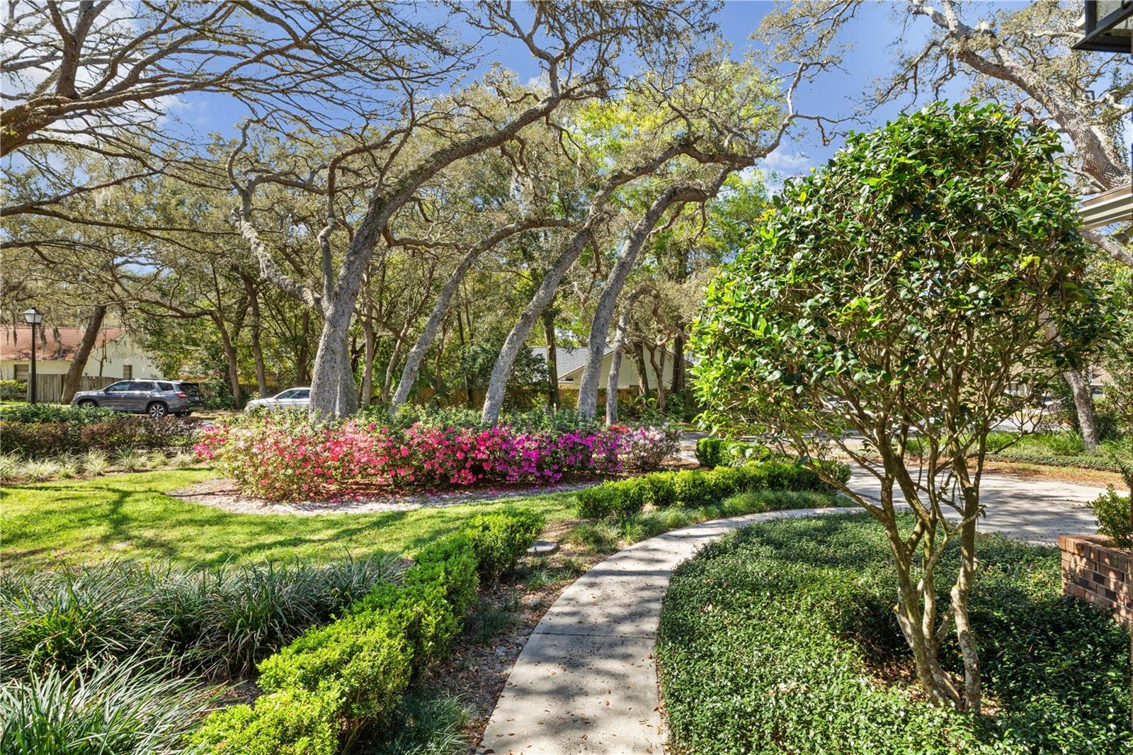 Image 42 of 42 For 529 Burnt Tree