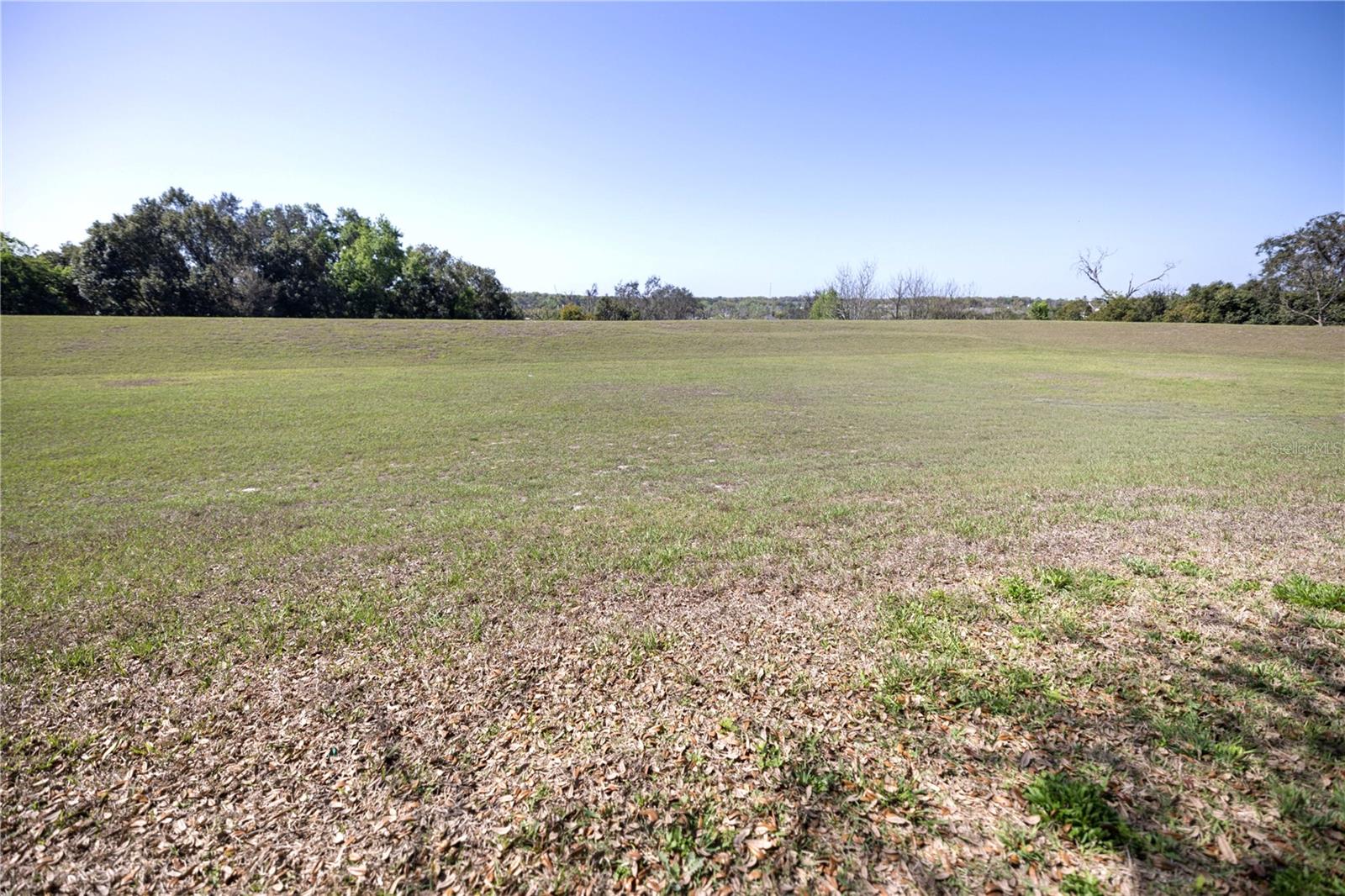 Image 38 of 44 For 1292 Merion Drive