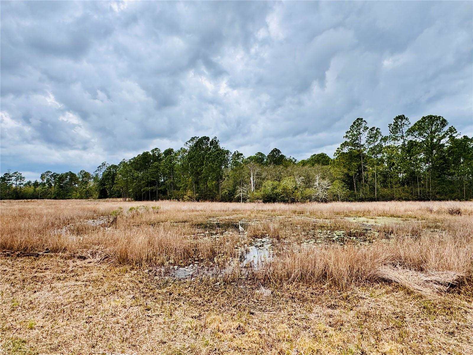 Image 54 of 63 For 39641 Royal Trails Road