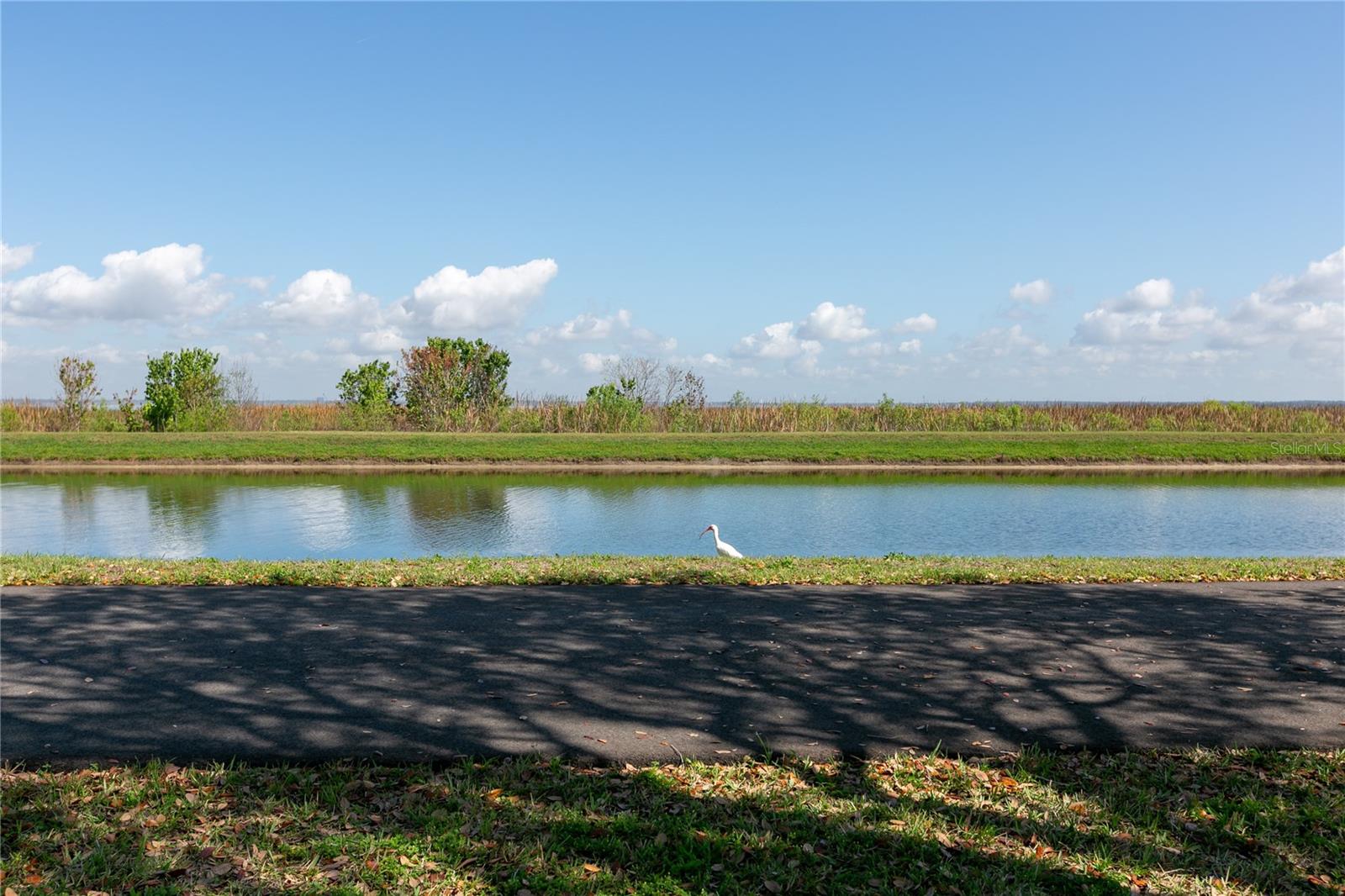 Image 46 of 47 For 807 Tennessee Avenue