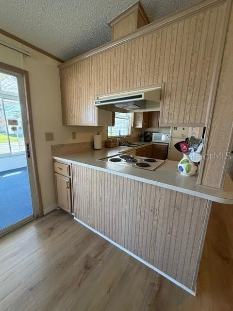 Image 23 of 68 For 194 Rosewood Drive