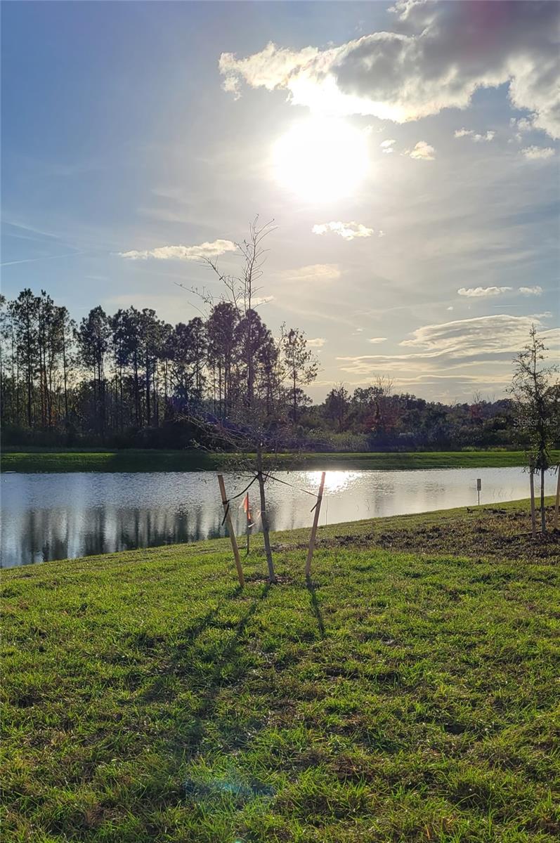 Image 21 of 29 For 538 Hatteras Road