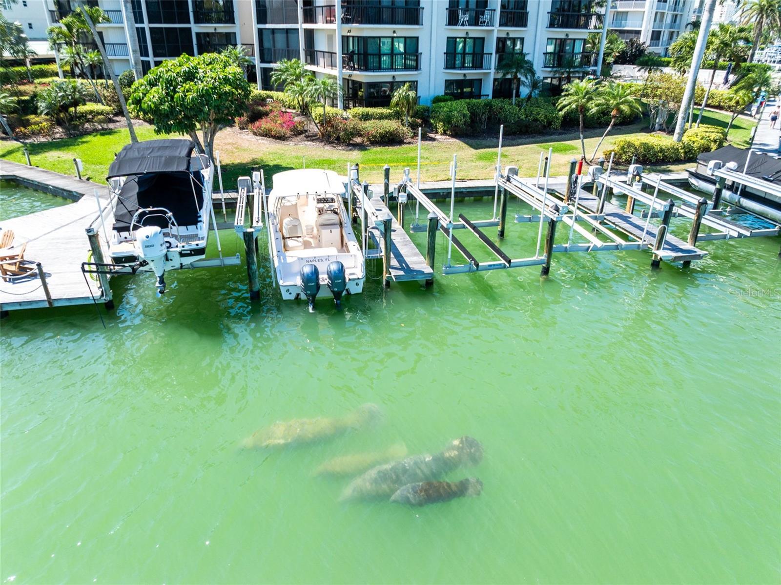 Image 15 of 77 For 845 Collier Court 306