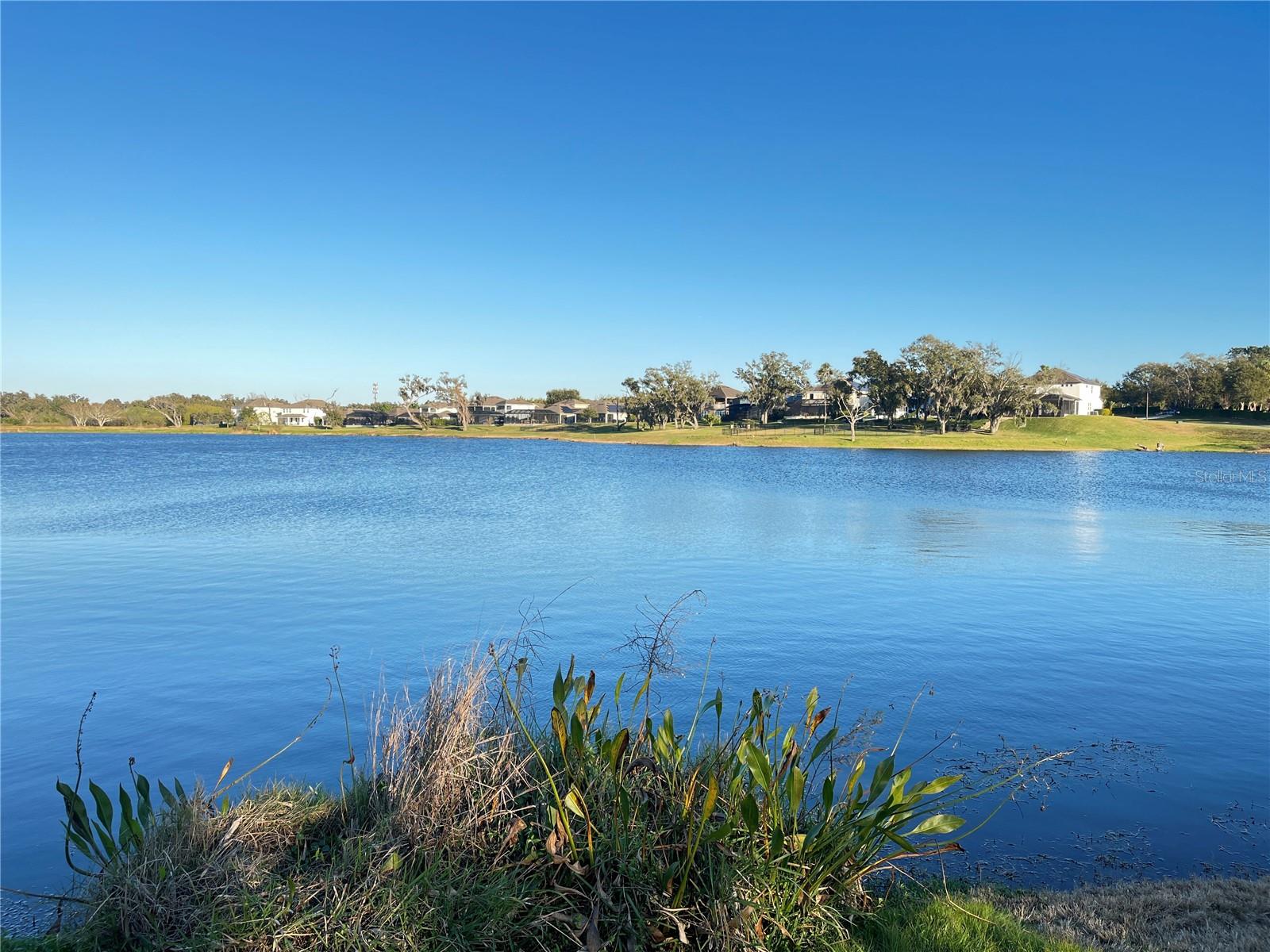 Image 54 of 74 For 15195 Lake Claire Overlook Drive