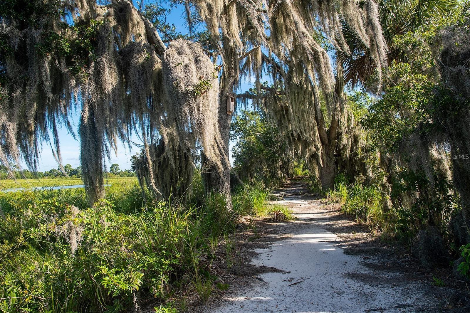Image 65 of 74 For 15195 Lake Claire Overlook Drive