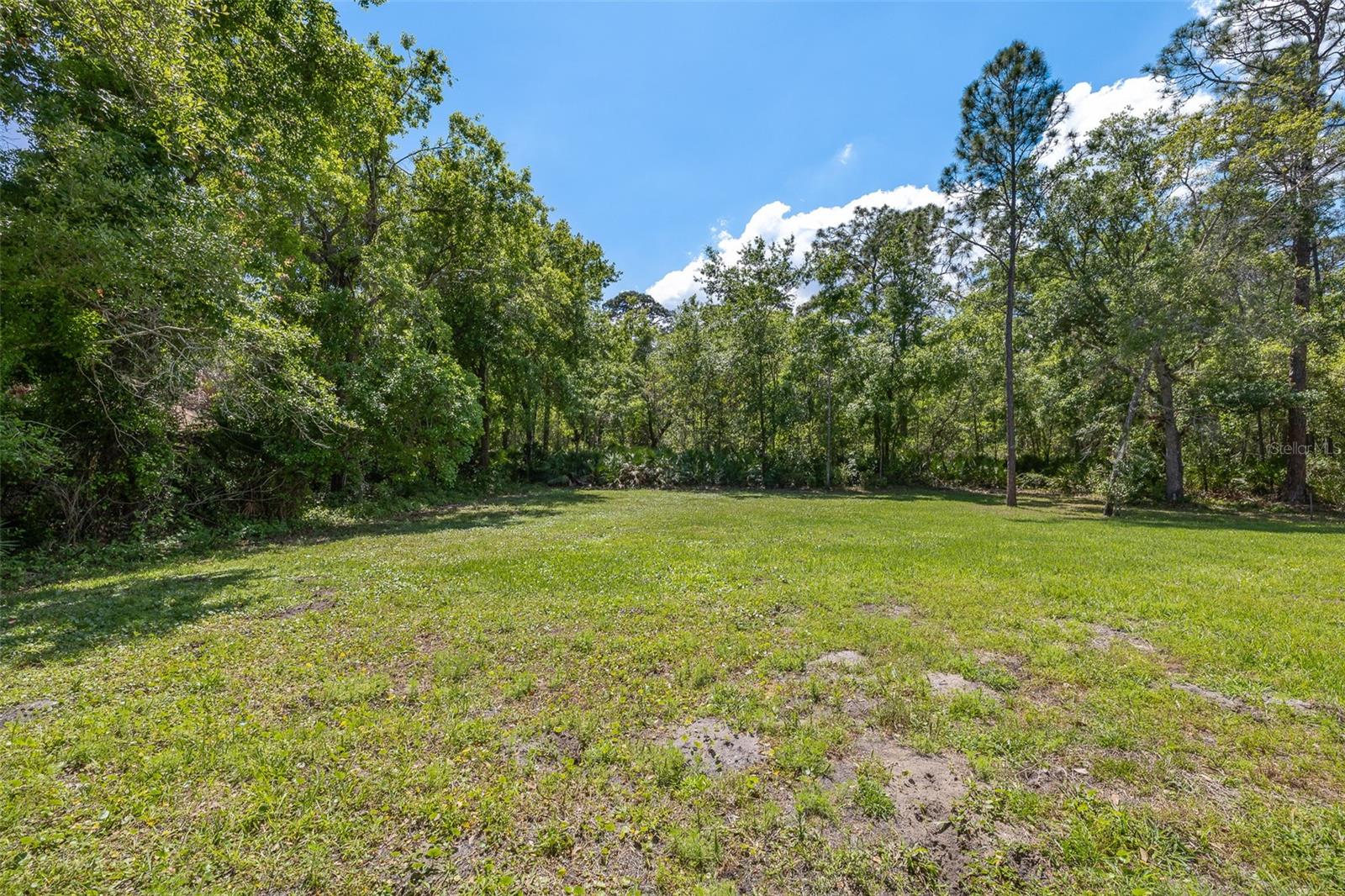 Image 16 of 66 For 4528 Yorkshire Lane