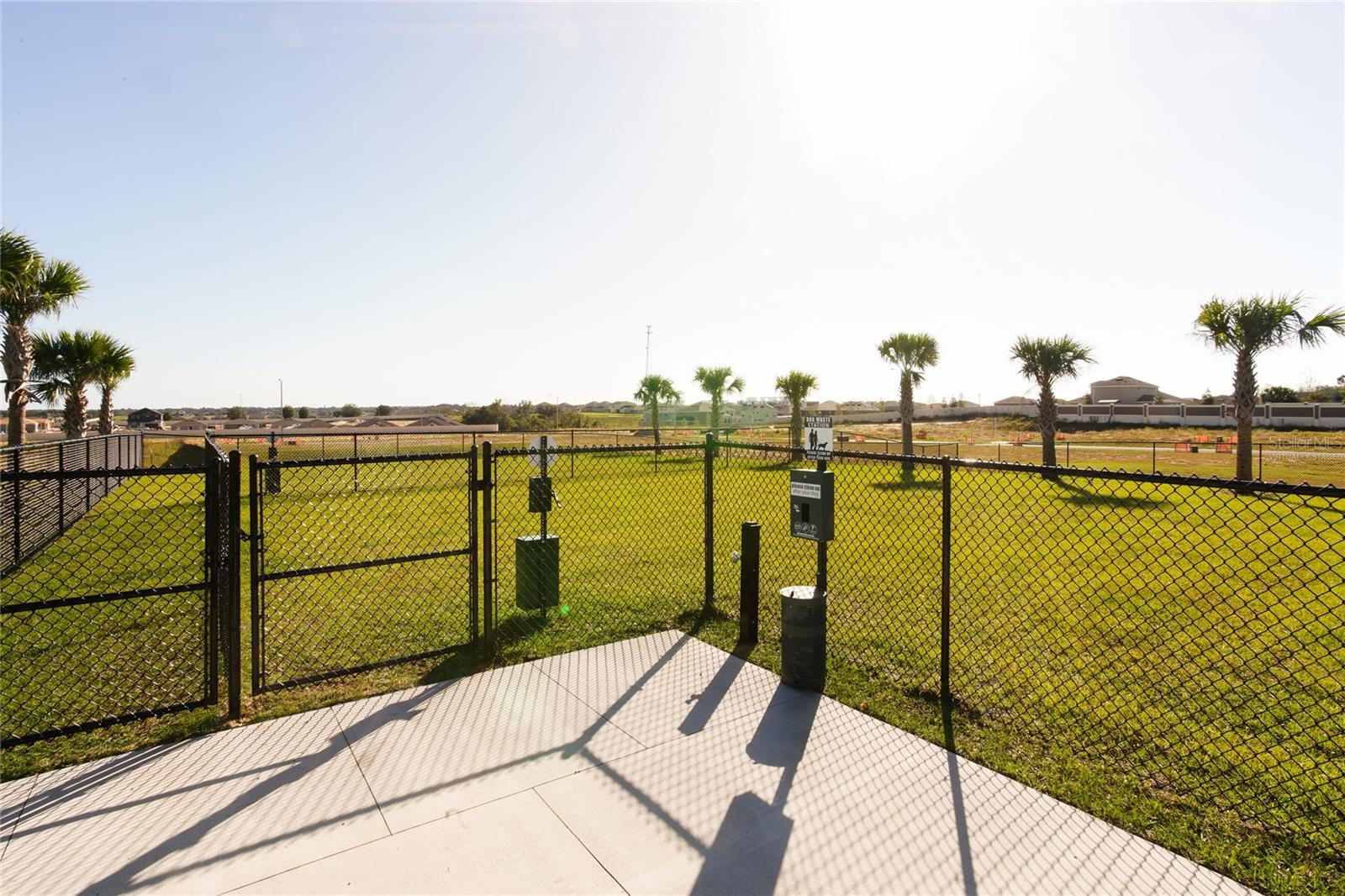 Image 19 of 21 For 931 Phoenix Street