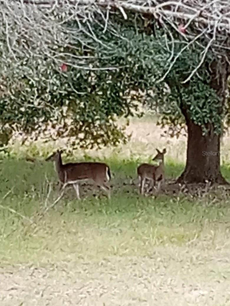 Image 8 of 8 For 12645 83rd Trail