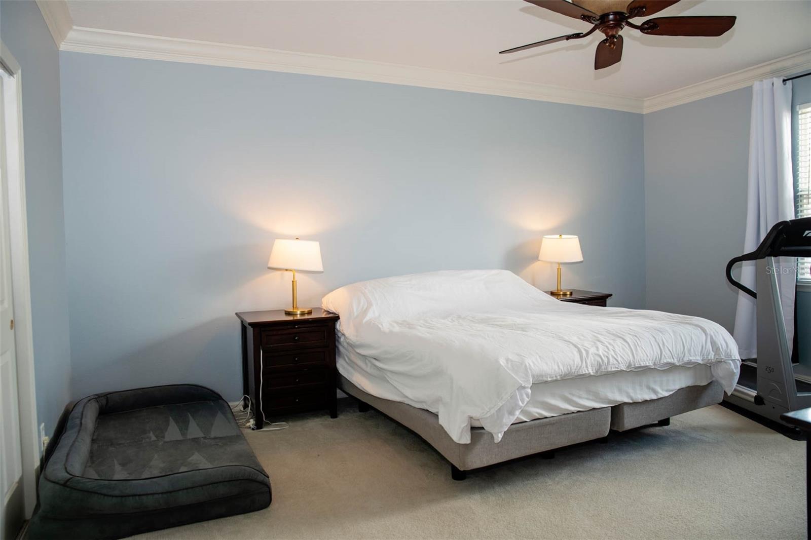 Image 42 of 53 For 411 Sycamore Street