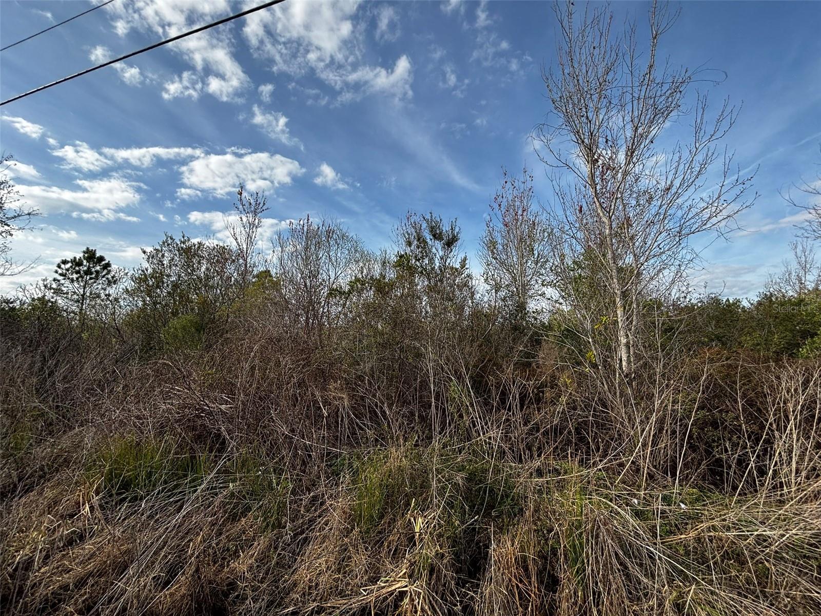 Image 3 of 8 For 4125 Quail Nest Lane