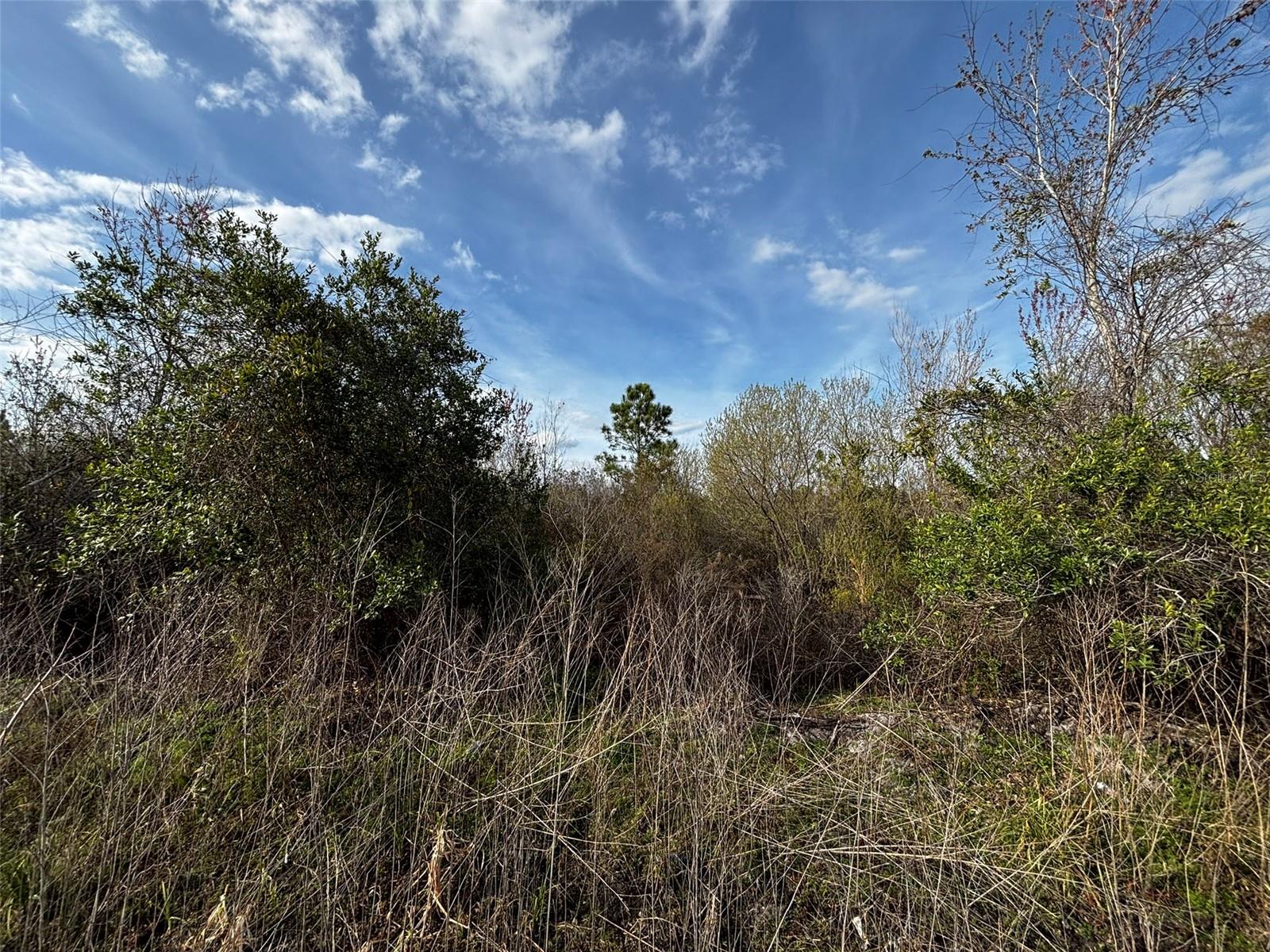 Image 4 of 8 For 4125 Quail Nest Lane