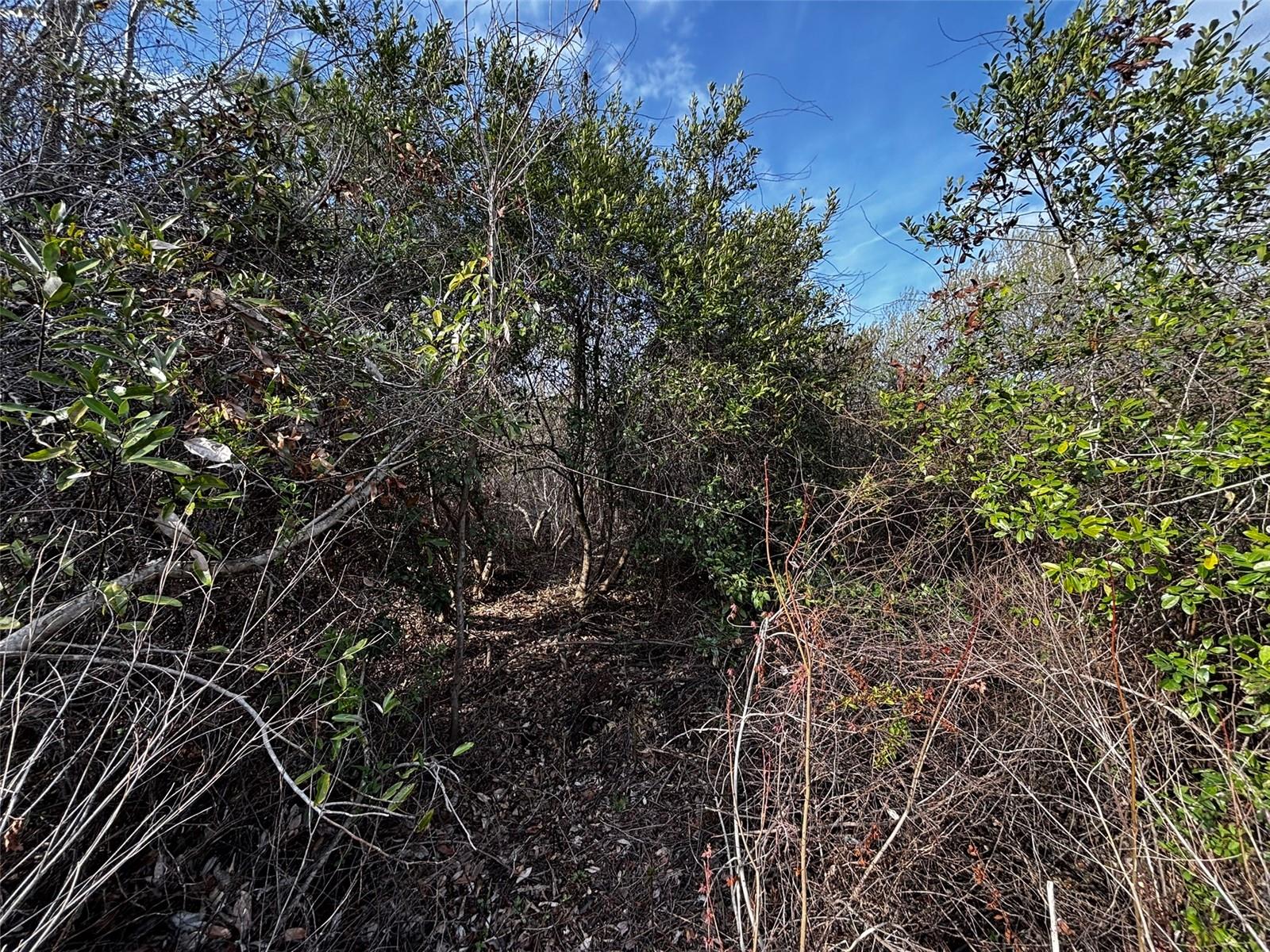 Image 5 of 8 For 4125 Quail Nest Lane