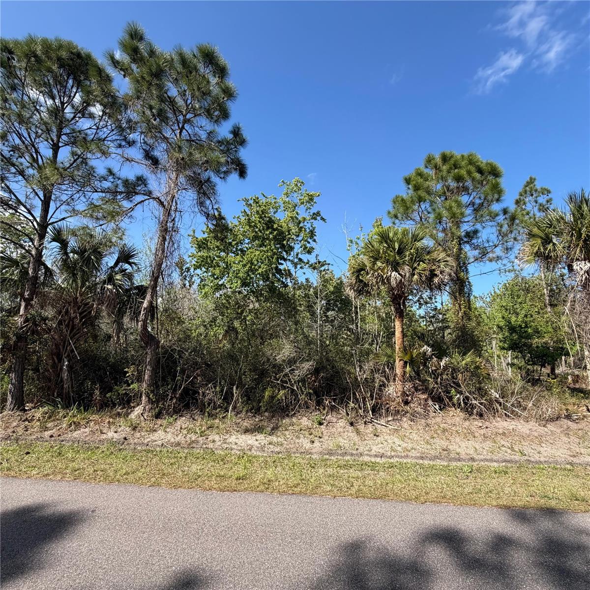 Listing Details for 297 Frazer Street Sw, PALM BAY, FL 32908