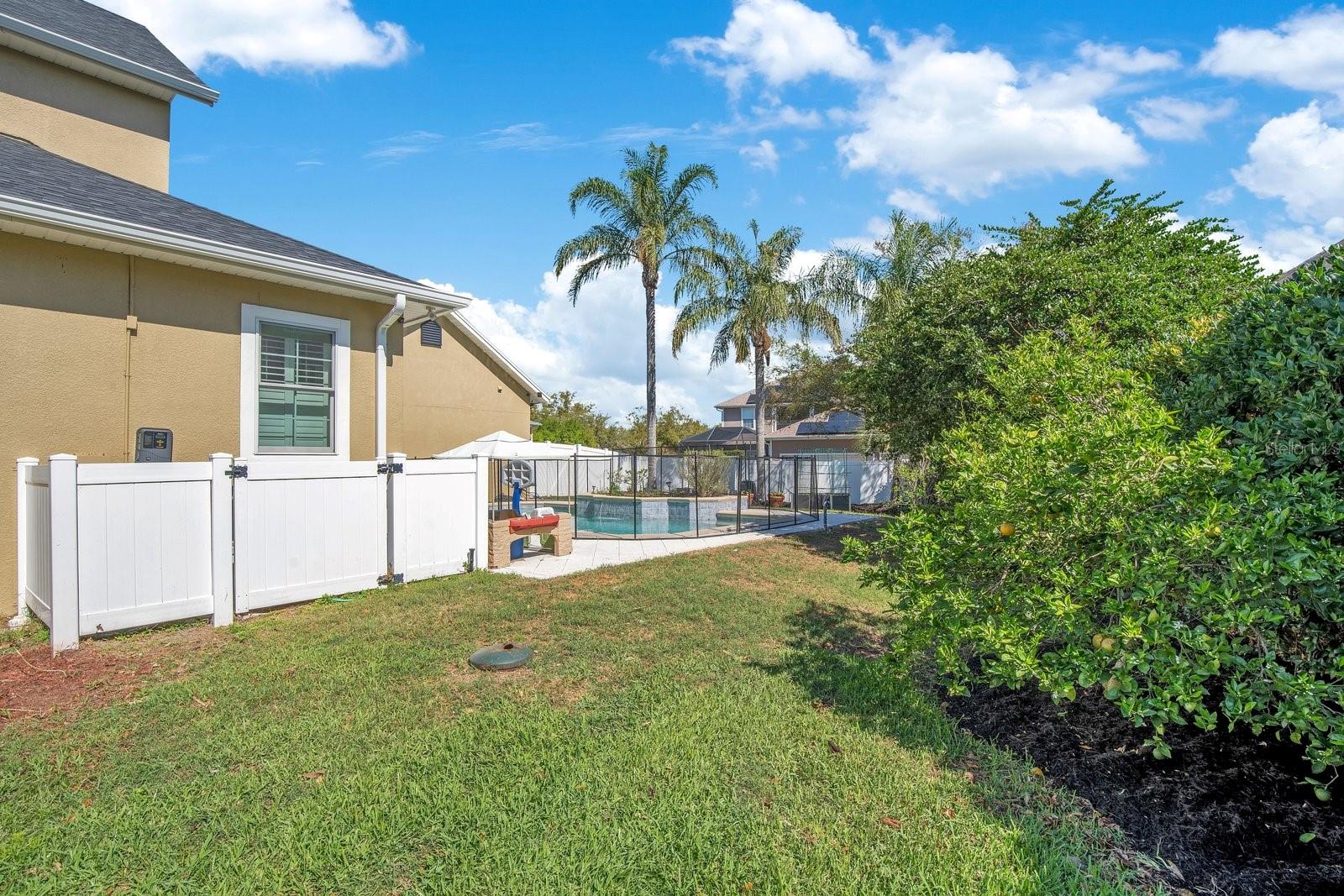 Image 42 of 59 For 9613 Pine Lily Street