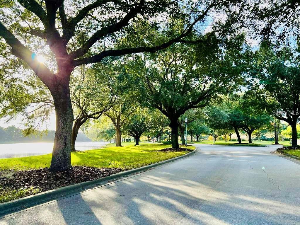 Image 59 of 59 For 9613 Pine Lily Street