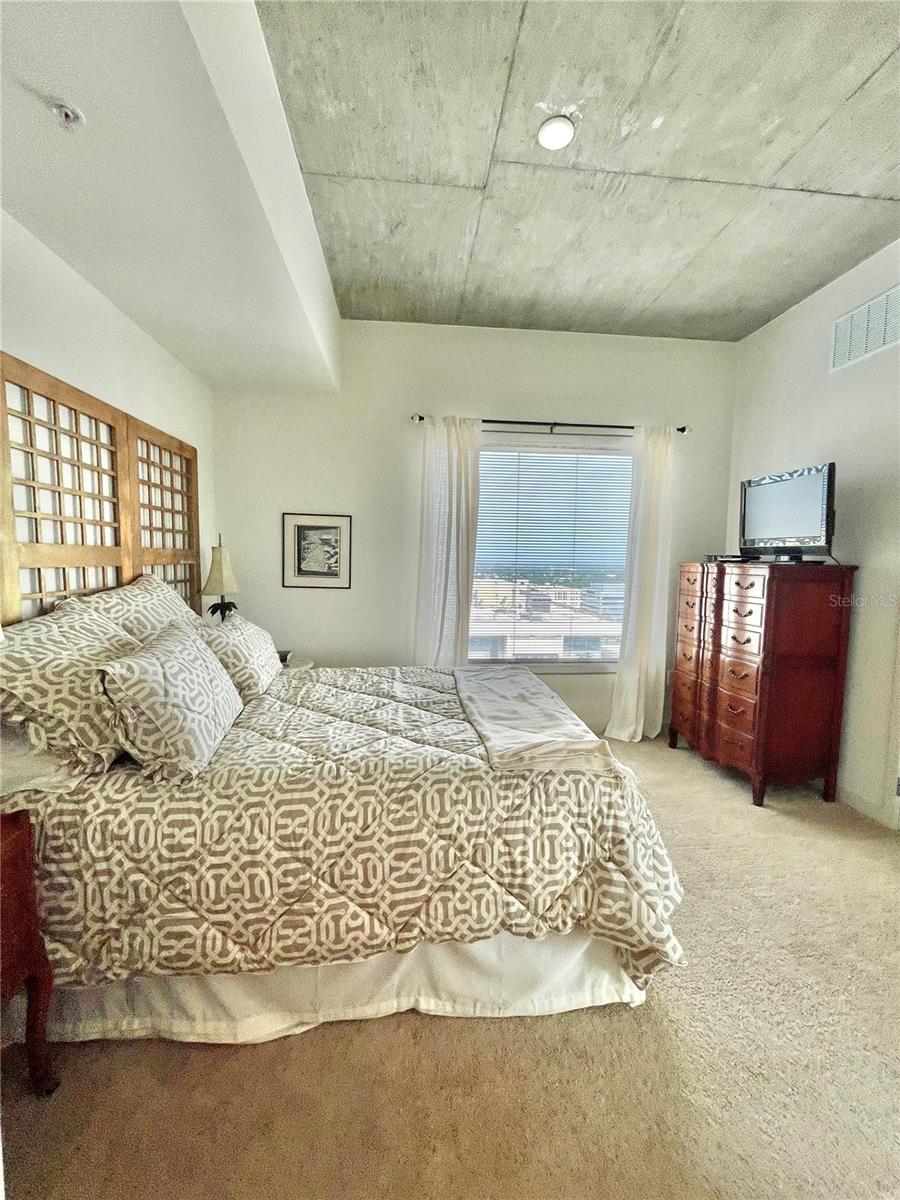 Image 16 of 39 For 155 Court Avenue 2016