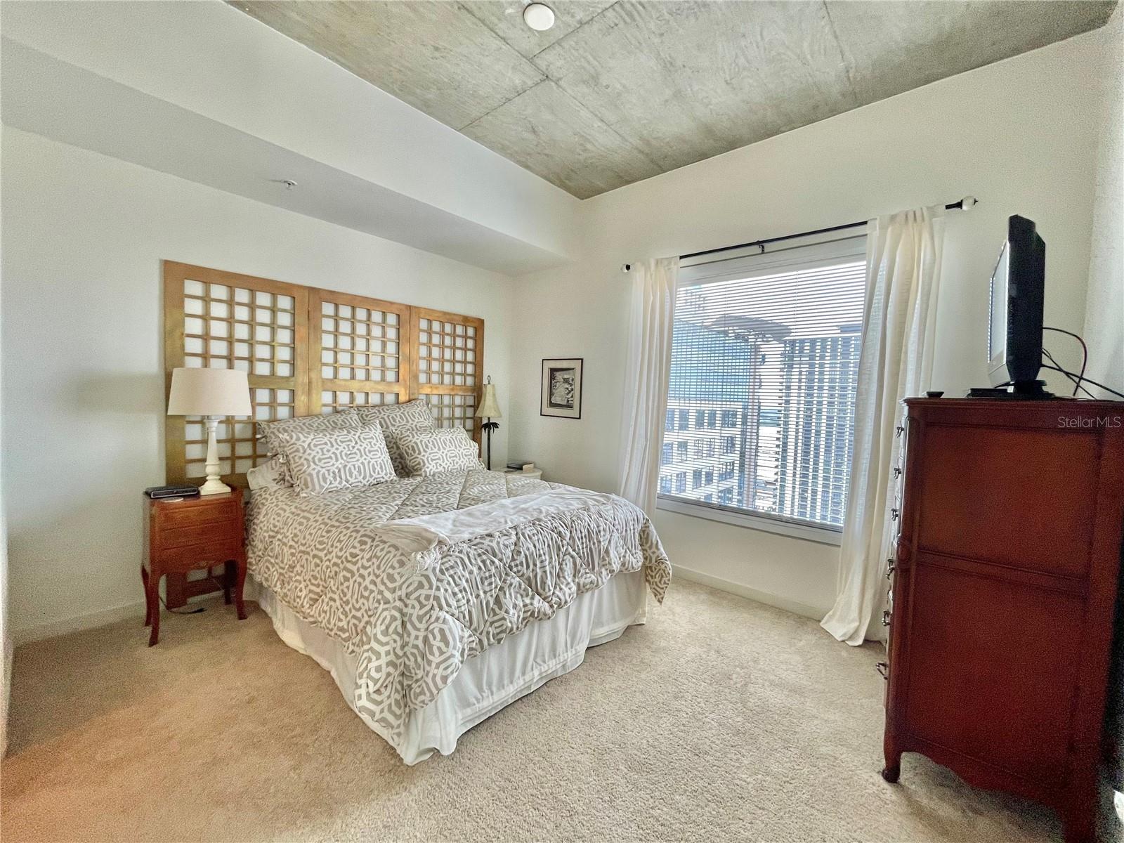 Image 17 of 39 For 155 Court Avenue 2016