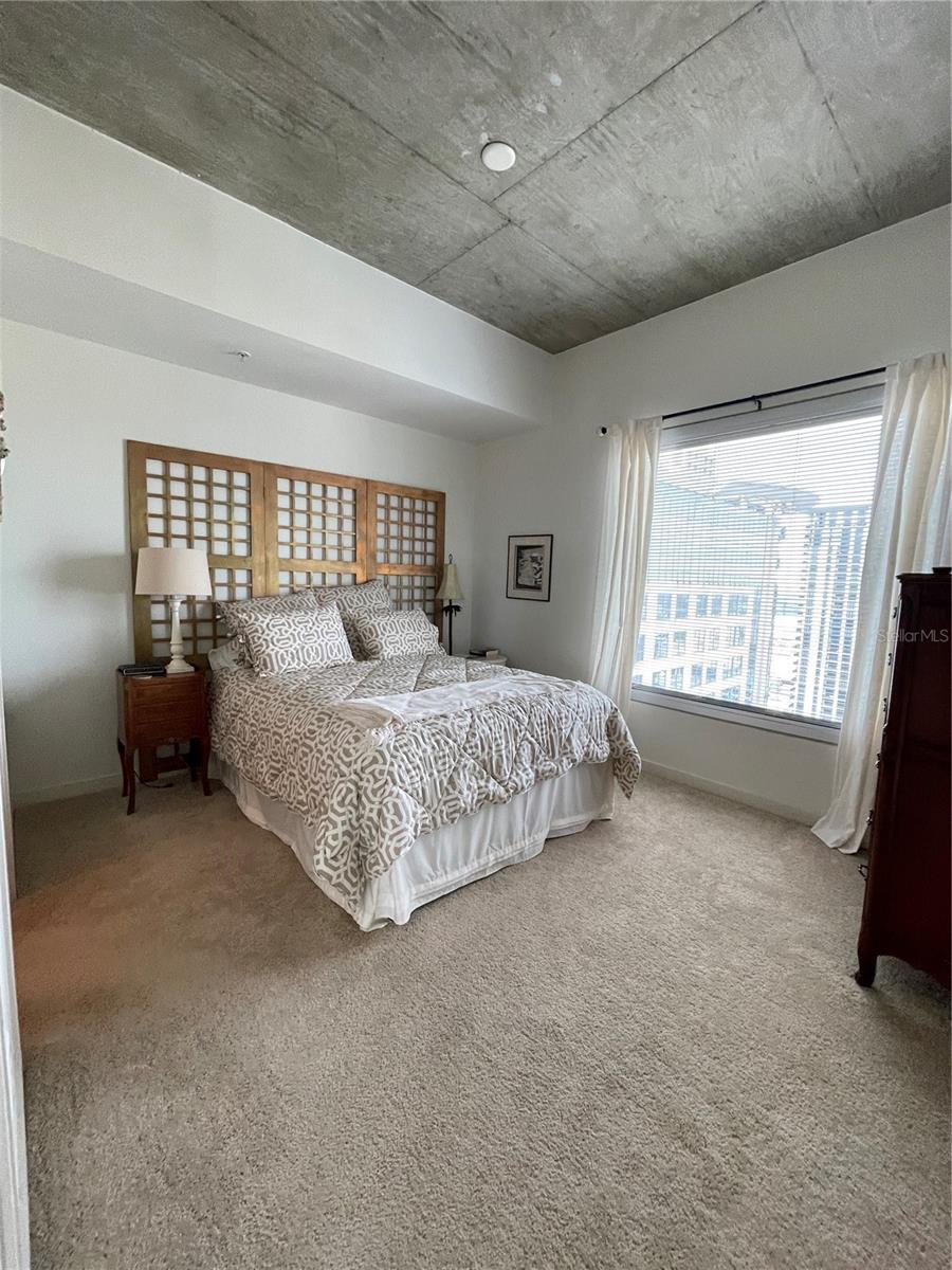 Image 18 of 39 For 155 Court Avenue 2016