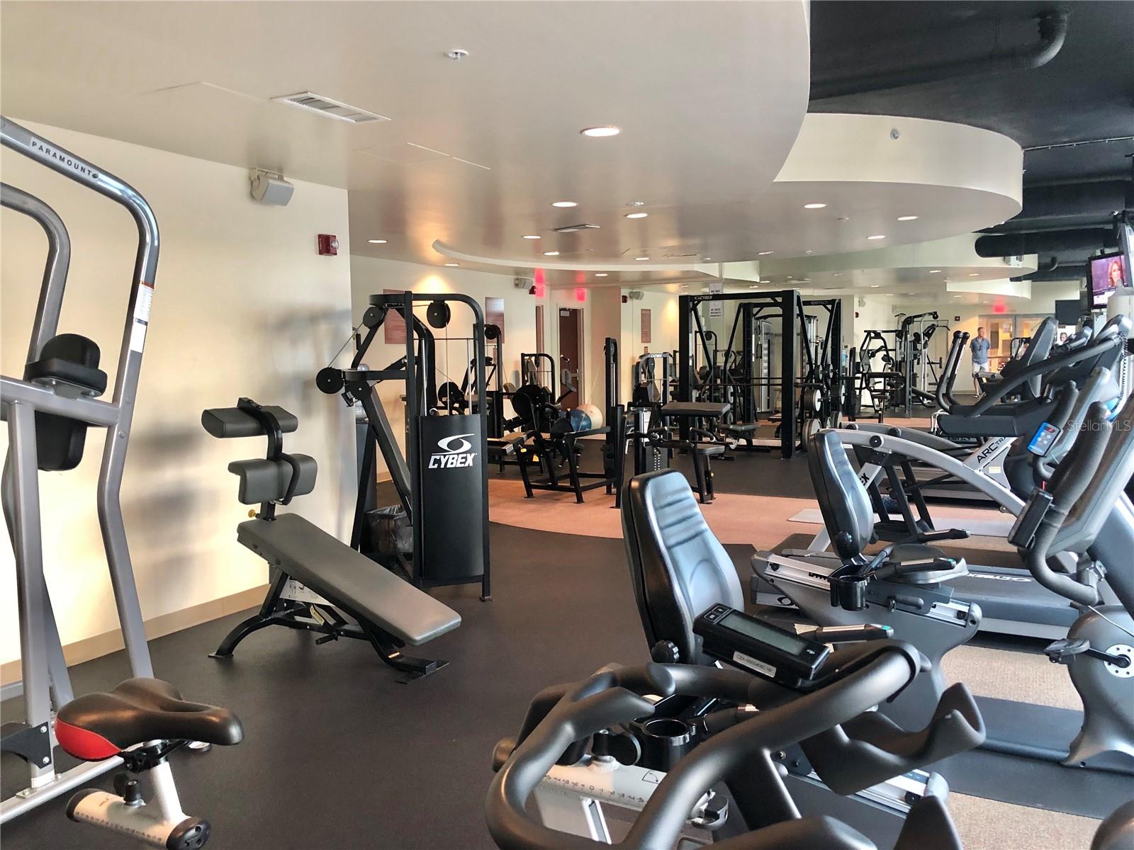 Image 38 of 39 For 155 Court Avenue 2016