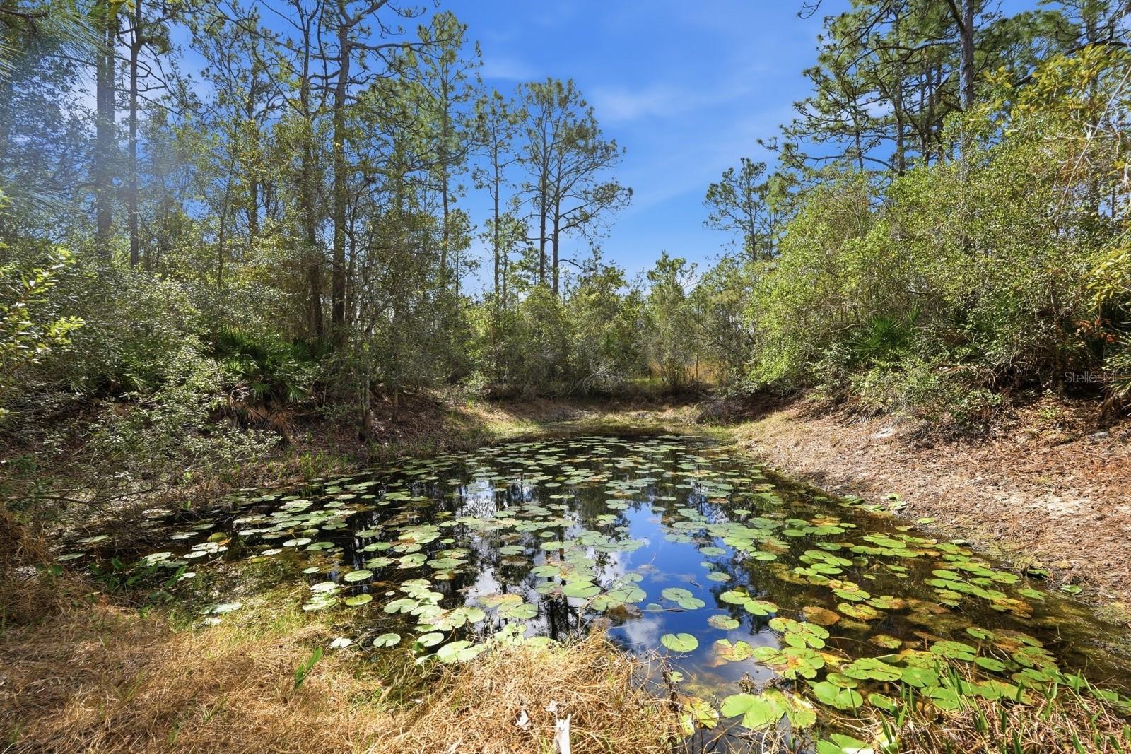 Image 28 of 40 For 158 Cone Road