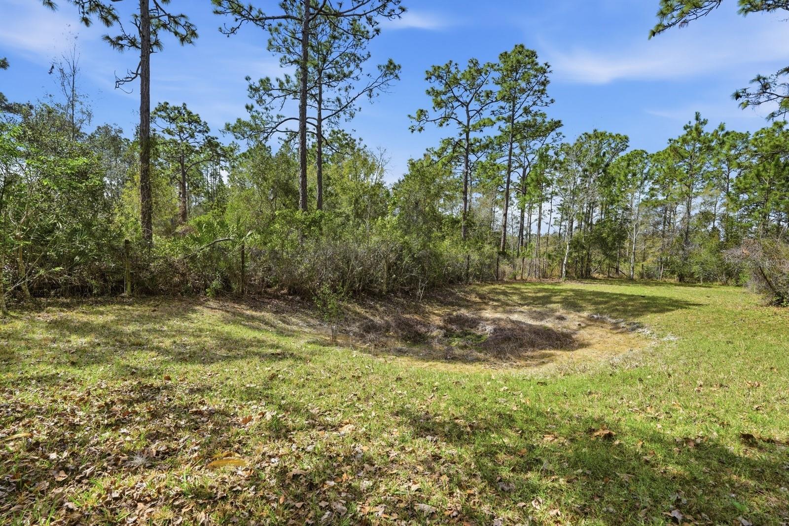 Image 30 of 40 For 158 Cone Road