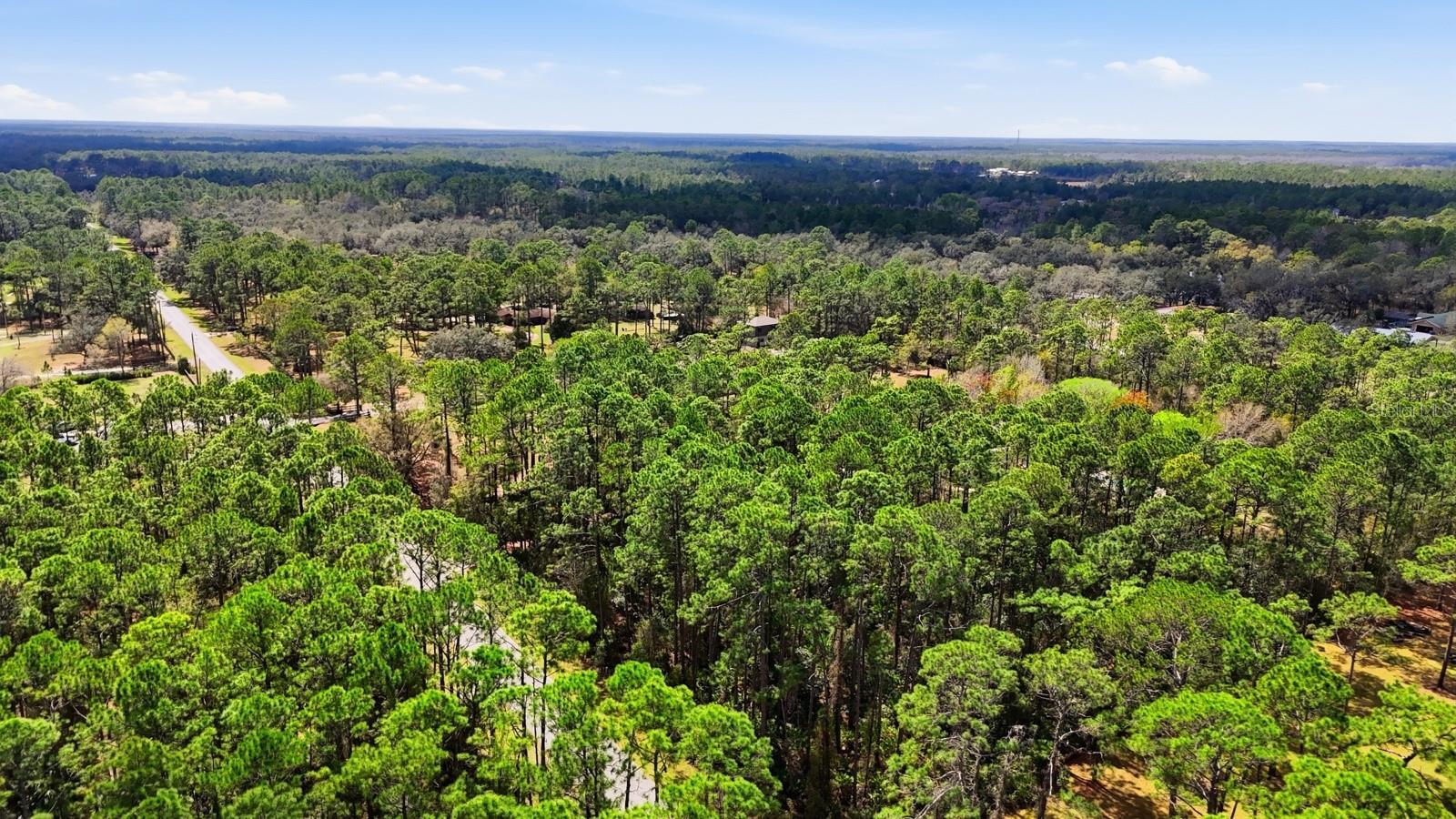 Image 38 of 40 For 158 Cone Road