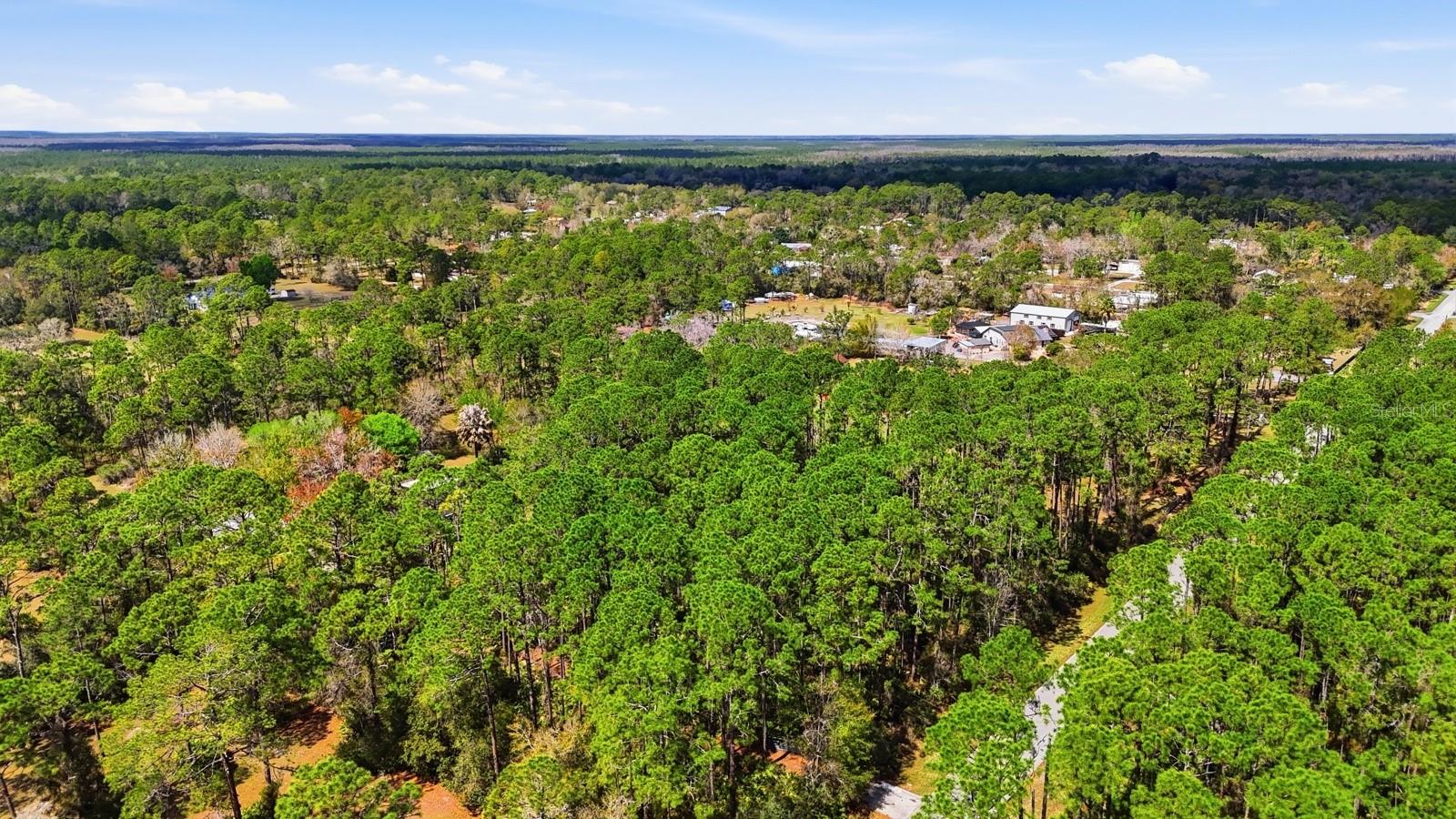 Image 39 of 40 For 158 Cone Road