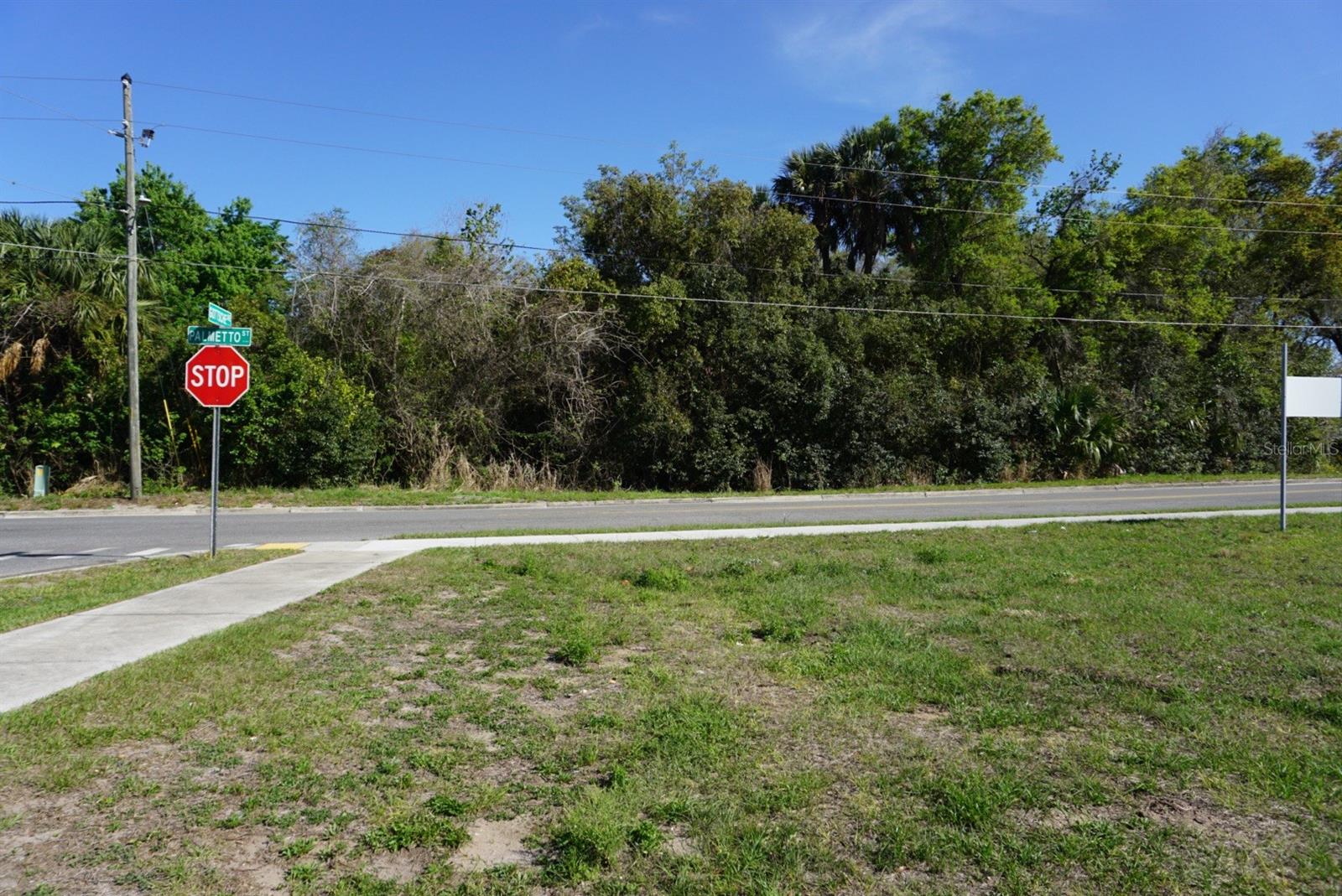 Image 2 of 5 For Palmetto Street