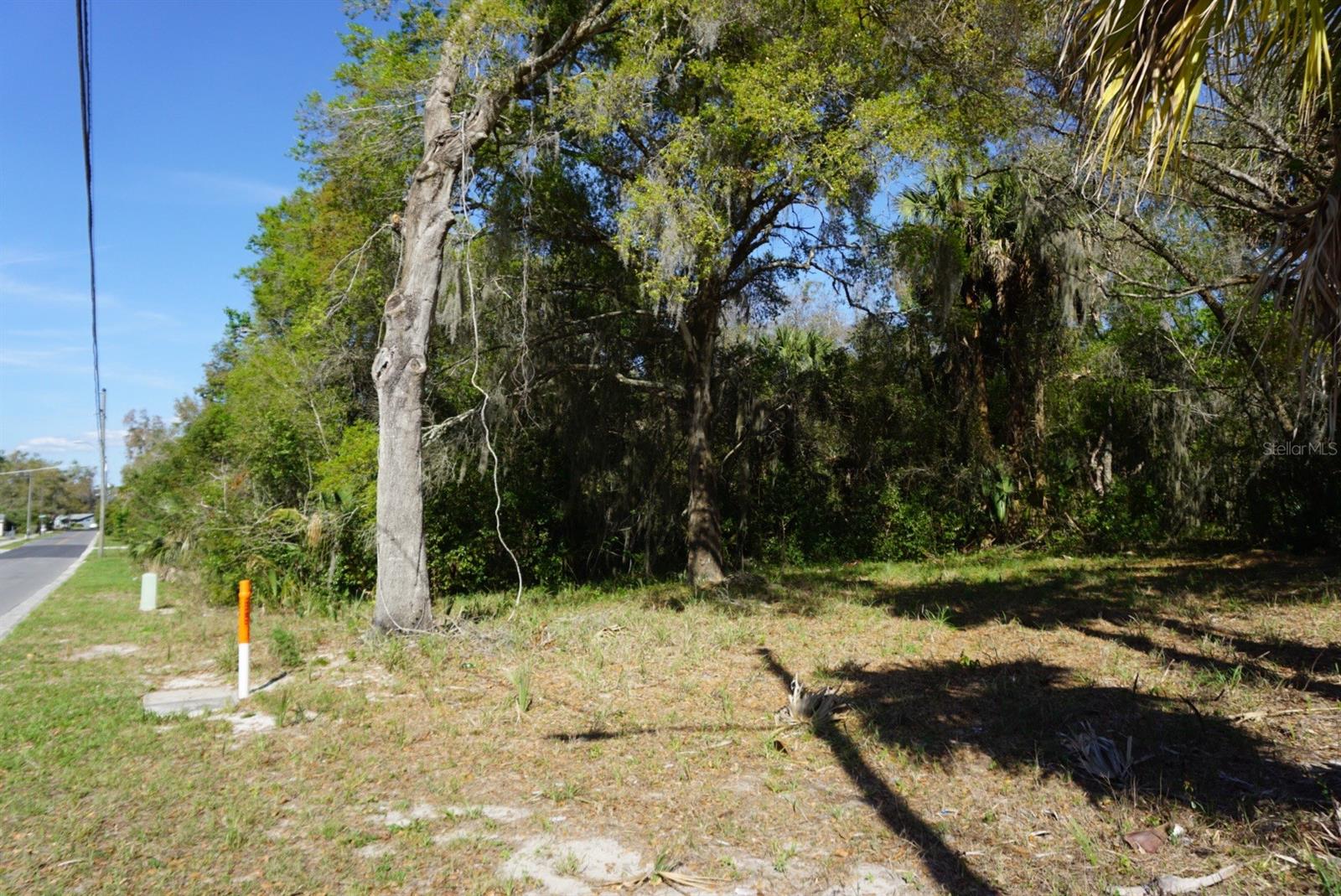 Image 3 of 5 For Palmetto Street