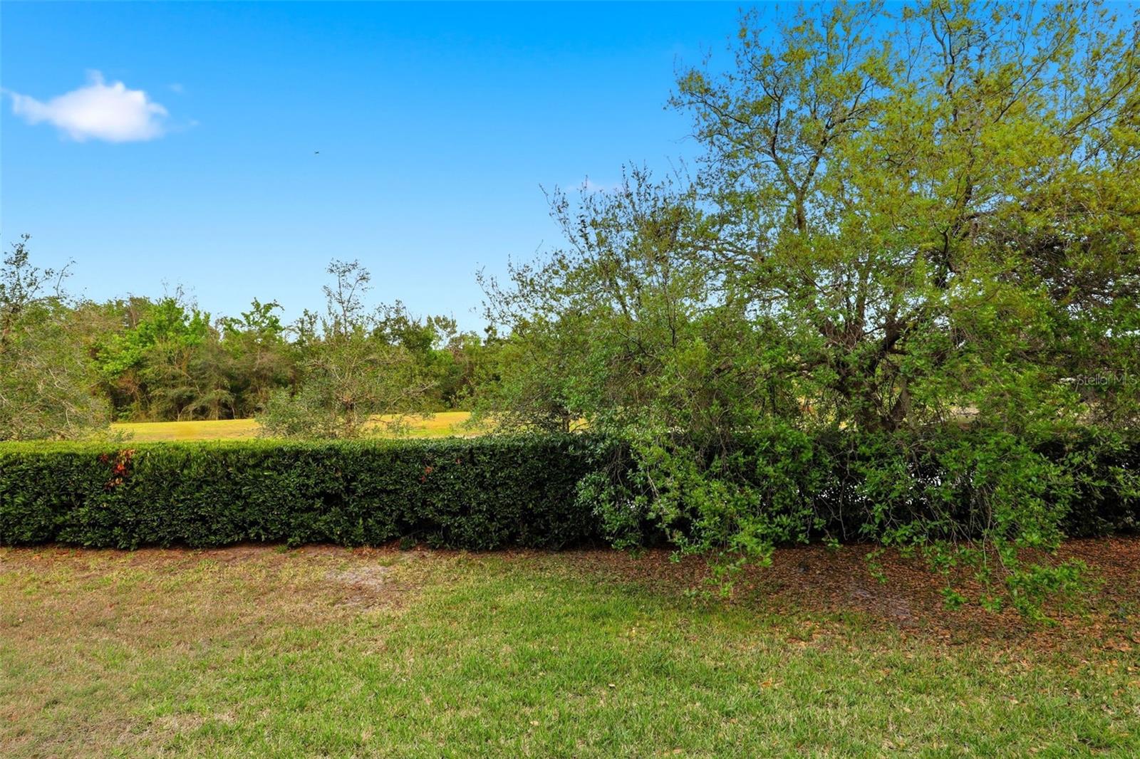 Image 36 of 52 For 5343 Hidden Cypress Lane