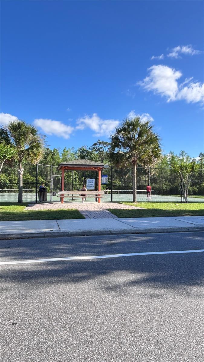 Image 15 of 18 For 10882 Eclipse Lily Way 61a