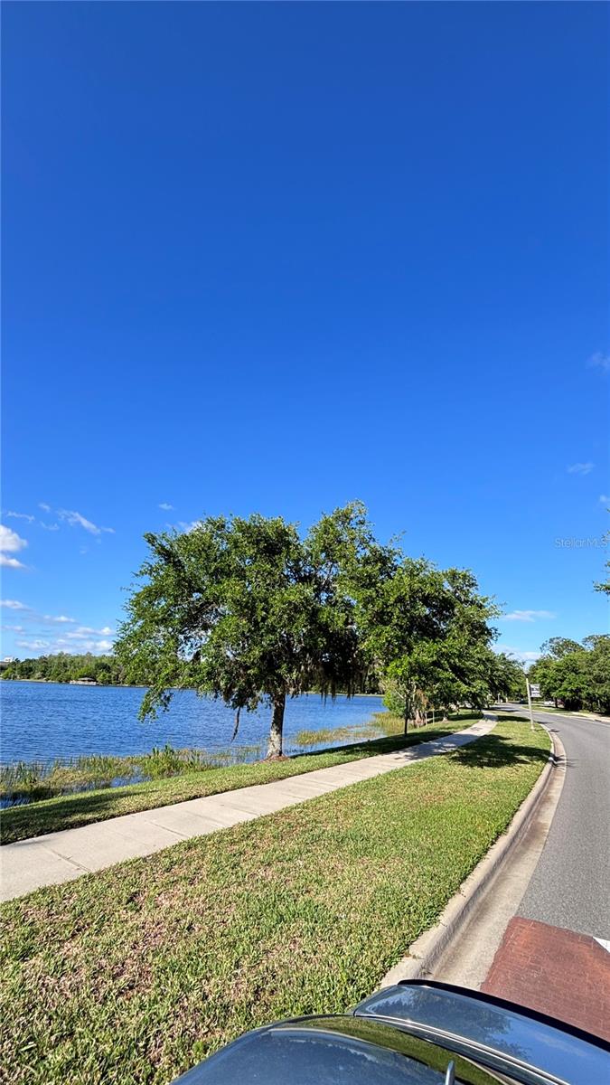 Image 16 of 18 For 10882 Eclipse Lily Way 61a
