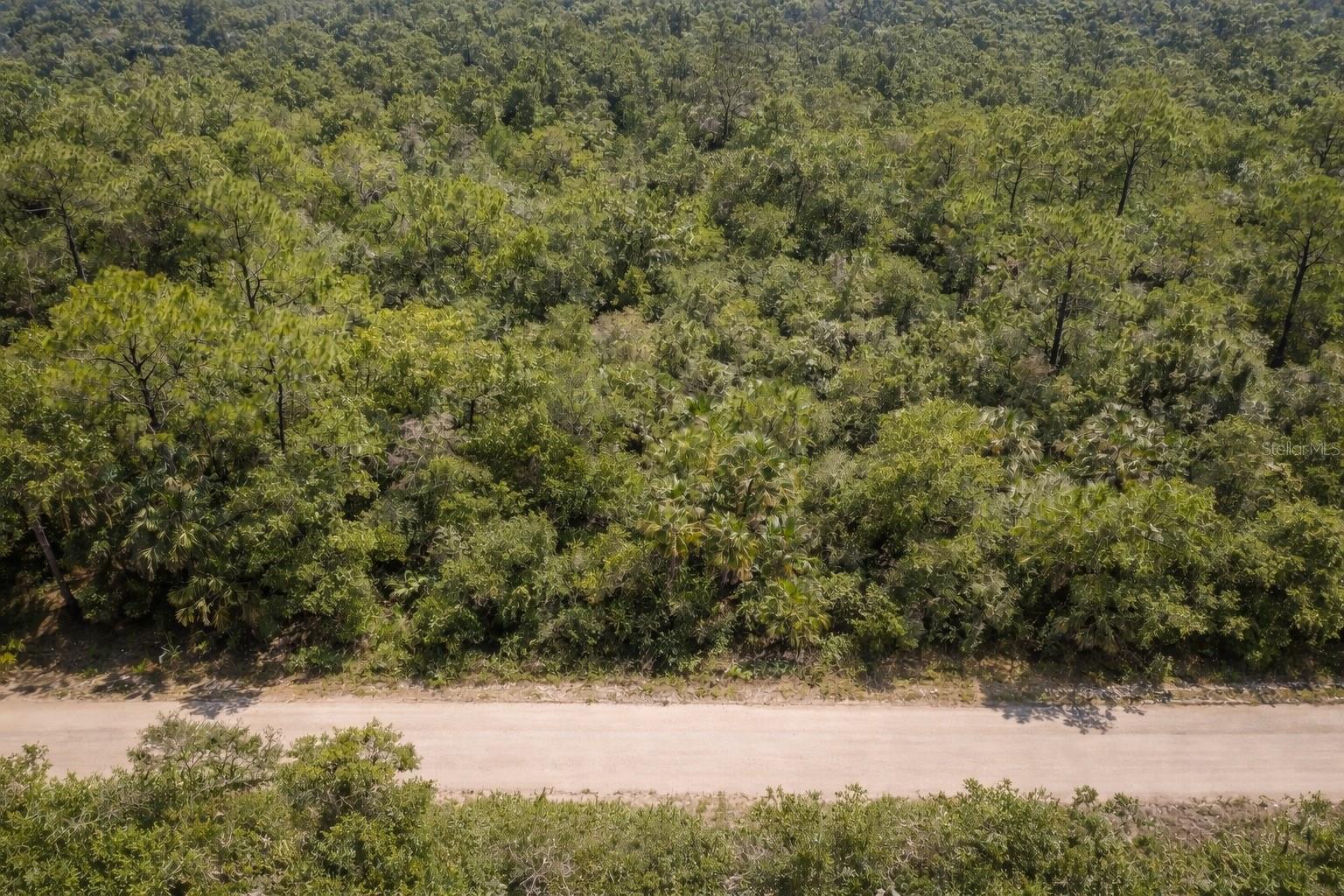 Listing Details for 823 Durmon Avenue, LAKE PLACID, FL 33852