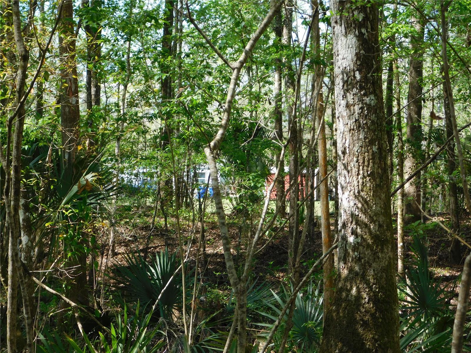 Image 13 of 27 For 10505 Deep Creek Boulevard