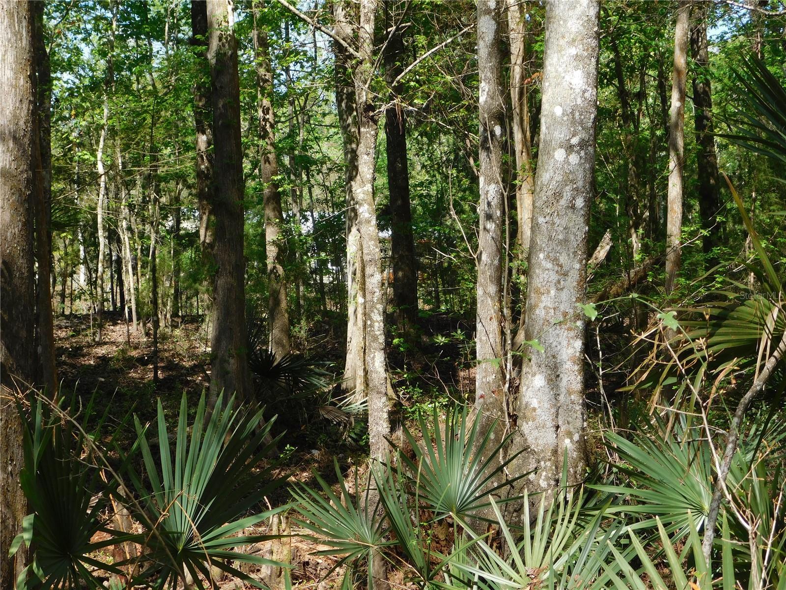 Image 14 of 27 For 10505 Deep Creek Boulevard